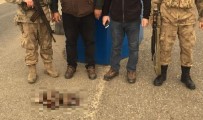 KAÇAK - Tunceli'de Kaçak Avlanan 5 Şahıs Yakalandı