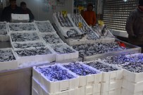 GÜRCISTAN - Yerli Hamsi Uzun Bir Aradan Sonra Tezgahlarda