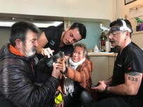 İLAÇ TEDAVİSİ - Bakan Pakdemirli'nin Sahip Çıktığı Görme Yetisini Kaybeden 'Bobo'nun' Tedavisine Başlandı