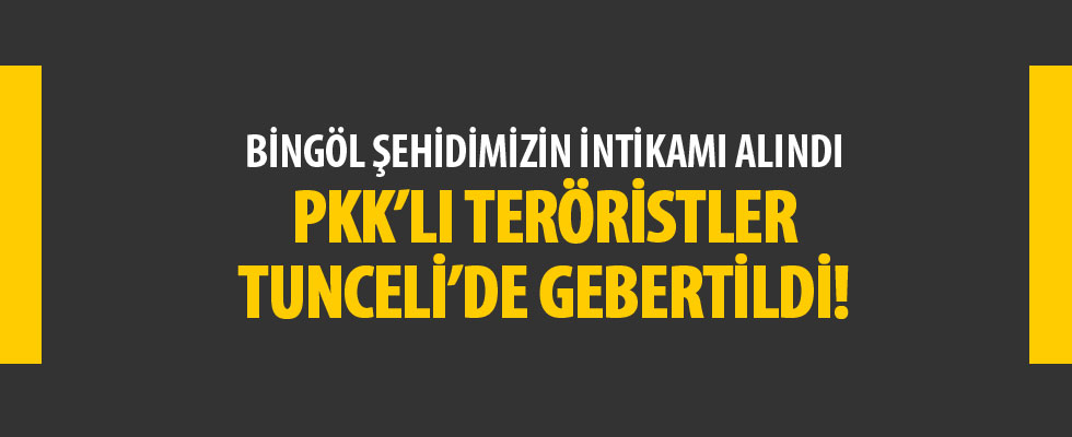 Bingöl'de 1 askeri şehit eden teröristlerin, Tunceli'de etkisiz hale getirildiği belirlendi