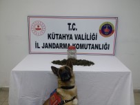 JANDARMA KOMUTANLIĞI - Kavanoz İçinde Uyuşturucu Ele Geçirildi