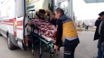 KAMYON ŞOFÖRÜ - Maden Ocağında Hafriyat Kamyonun Devrildi Açıklaması 1 Yaralı
