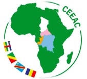 DEMOKRATIK KONGO CUMHURIYETI - Orta Afrika Ülkeleri Ulaşım Altyapısı Kurmak İçin Bir Araya Geliyor