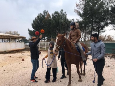 Şanlıurfa'da Atlı Terapi Antrenörlük Eğitimi