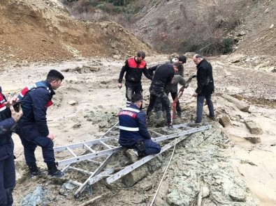 Sinop'ta Battığı Çamurdan Zorlukla Kurtarıldı