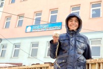 İMAM HATİP - Yüksekovalı Öğrenciler Kuşlar İçin Yemlik Yaptı