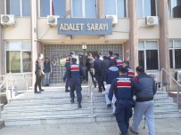 ZEYTİNYAĞI - 5 Ton Zeytini Çalıp Yağını Sıktılar