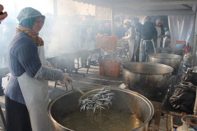 Düzce'de 'Hamsiler Tavaya Kanlar Kızılay'a'