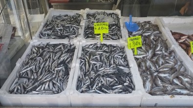 Hamsi, Fiyatı İle Enflasyona Meydan Okudu