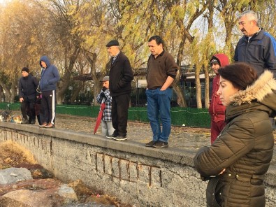 Kartal Sahilinde 75 Yaşındaki Kadın Cesedi Bulundu