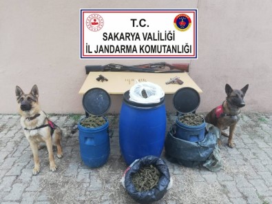 Sakarya'da 11 Kilogram Esrar Ele Geçirildi Açıklaması 1 Gözaltı