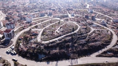 Ankara'ya Dev Millet Bahçesi