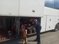 AFGANISTAN - Jandarma'dan Asayiş Uygulaması