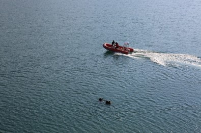 Türkiye'nin Dört Bir Yanından Gelen Ekipler Kayıp Gülistan'ı Arıyor