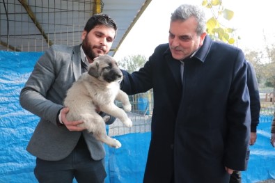 Beyazgül'den Hayvanseverlere Davet