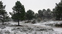 YAĞAN - Kar Yağışıyla Beyaza Bürünen Aydos Ormanı Havadan Görüntülendi