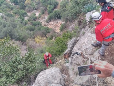 Kayalıklarda Mahsur Kalan Keçi AKUT Ekiplerince Kurtarıldı