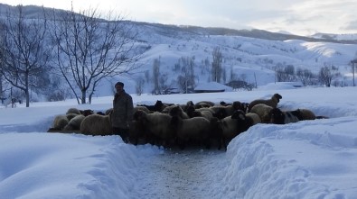 Muş'taki Dağ Köyleri Kar Altında Kaldı