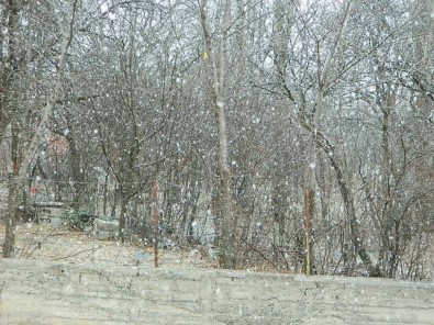Posof'a Kar Yeni Yıl İle Geldi