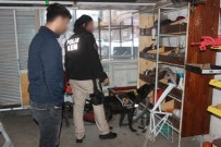 BONZAI - Uyuşturucu Satıcılarına Şafak Operasyonu Açıklaması 5 Gözaltı