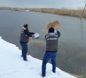 ORMAN BAKANLIĞI - Van'da Yabani Hayvanlar İçin Yem Takviyesi