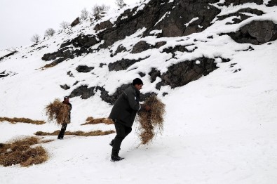 Yaban Hayvanları İçin Doğaya Yem Bırakılıyor