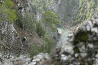 KEÇİ - Kayalıklarda 2 Gün Mahsur Kalan 6 Keçi 8 Saatlik Operasyonla Kurtarıldı