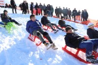 KARADENIZ - Ordu, Kar Festivalinde Buluştu