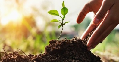 Avustralya Yangını Türkiye'deki Mobilya Sektörünü Harekete Geçirdi