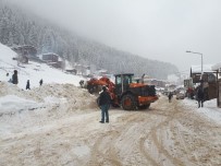 KAR KALINLIĞI - Ayder Yaylası Kar Festivali'ne Hazırlanıyor