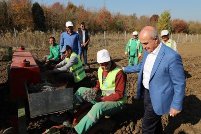 Büyükçekmece'de 'Tarım Yılı' Eğitim Programı Başlıyor