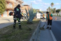 KARAYOLLARı GENEL MÜDÜRLÜĞÜ - Efeler Belediyesi Ekipleri Peyzaj Ve Bakım Çalışmalarına Devam Ediyor