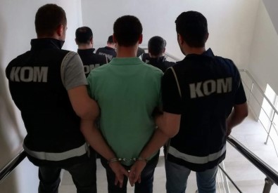 Siirt'te FETÖ'den 10 Kişi Gözaltına Alındı
