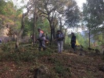 SOĞUKPıNAR - Alanya'daki Mezarlıklarda 86 Kişilik Ekiple Temizlik