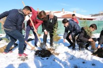 HAYRETTİN KARACA - Fidanlar 'Toprak Dede' Anısına Dikildi