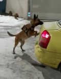 Kars'ta 3 Kilo Uyuşturucu Dedektör Köpek Odin'e Takıldı Haberi