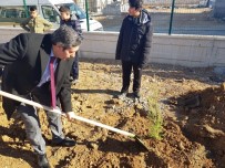 İL MİLLİ EĞİTİM MÜDÜRÜ - Malatya'da 100 Fidan Toprak Dede'yle Aynı Gün Toprakla Buluşturuldu