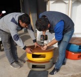 SOSYAL SORUMLULUK - Marmaris Belediyesi Kedileri 'Ev'lendirdi