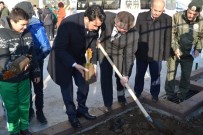 Öğrenciler Karaca İçin Fidan Dikti