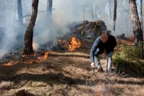 SARIYER - Seydikemer'de Kış Ortasında Orman Yangını