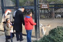 KARNE HEDİYESİ - Tarsus Hayvan Parkını Hafta Sonunda 5 Bin 500 Kişi Gezdi