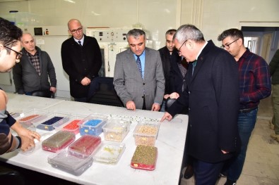 Vali Deniz İncelemelerde Bulundu