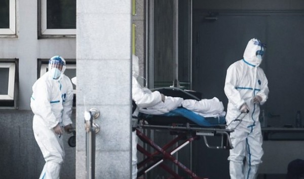 Corona virüsünün nedeni belli oldu!