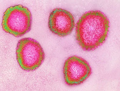 AB koronavirüs riskini 'düşük'ten 'orta' seviyeye çıkardı