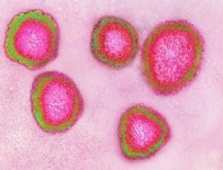 UÇAK SEFERLERİ - AB koronavirüs riskini 'düşük'ten 'orta' seviyeye çıkardı