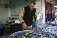 BALIKÇI ESNAFI - Balık Azalınca Fiyatlar Yükseldi