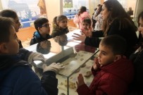 KARNE HEDİYESİ - Çankayalı Çocuklar Tabiat Tarihi Müzesi'ni Gezdi