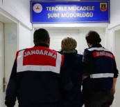 İL JANDARMA KOMUTANLIĞI - Isparta'da Sosyal Medyada Terör Propagandasına 8 Gözaltı