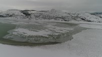 BÜYÜKBAŞ HAYVANLAR - Konya'da Buz Tutan Barajda Kartpostallık Görüntüler Ortaya Çıktı