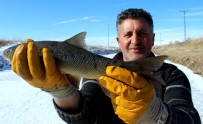ESKIMO - Soğuk Kış Günlerinin Vazgeçilmez Aktivitesi Açıklaması Eskimo Usulü Balık Avı